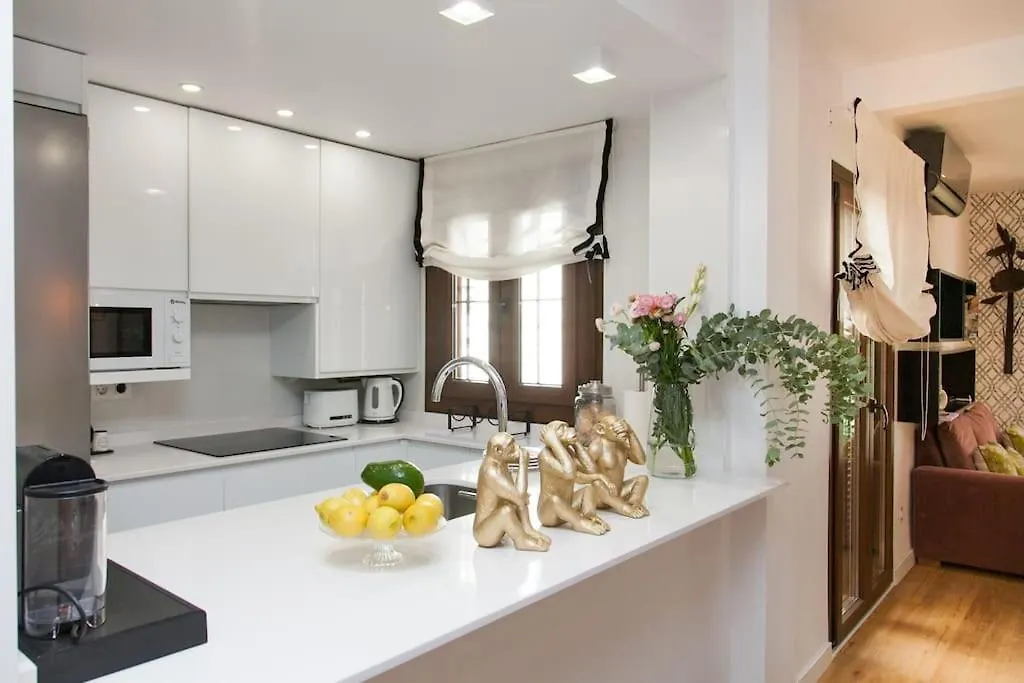 Apartment Modern & Nice Apartment. Old Town. Private Parking Seville